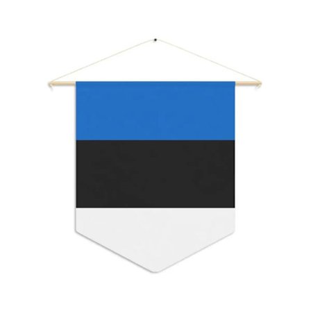 Lippu - Viro - 30 x 45 cm - Polyesteri - Tulostus kaksipuoleinen - Mukana lisävarusteet