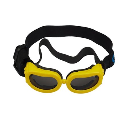 Hundsolglasögon UV-skyddsglasögon, vindtätt och anti-dimglas