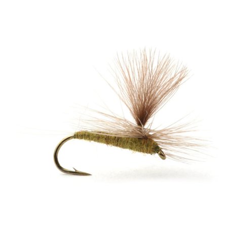 Guideline Baetis Medium Olive - #16