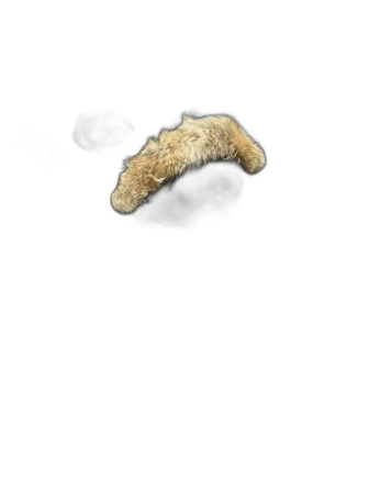 Svart Canada Goose dunjacka med pälskrage