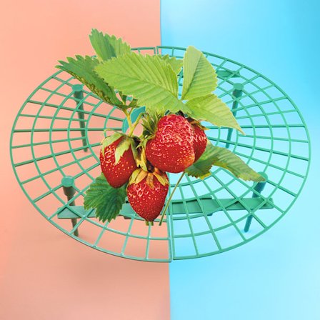 Jordbær 6 rammer Jordbær dyrking støtte Fjernbar plast med