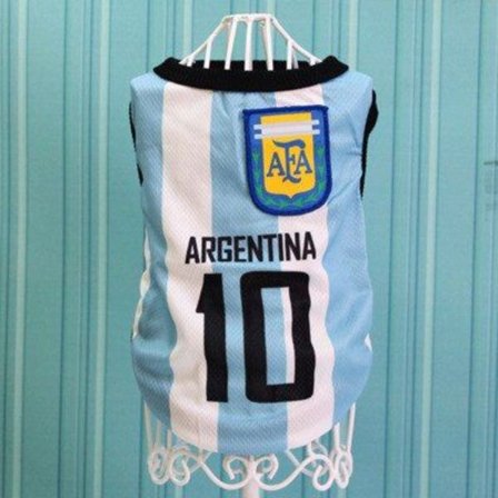 Verdensmesterskap Klær Hund Katt Fotballklær Basketball T-skjorte Mesh Vest - Modell ARGENTINA-XS