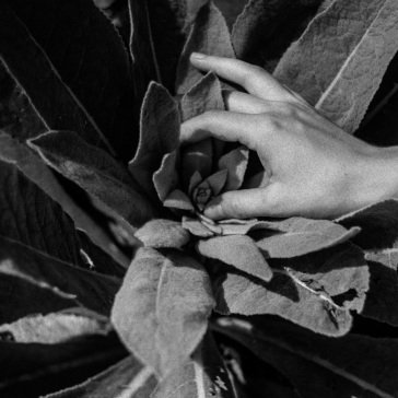 Heide NANOOK OF THE NORTH