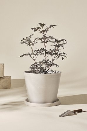 Jotex - Plantepotte Med Fat ø 50 Cm Hvit - MALCOLM - Kjøp Hagekrukker hos Jotex