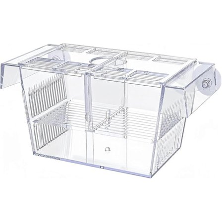 20*10*10cm Akvarium Fisk Avlsboks, Akryl Inkubator Tank med Sugekopper for Rekeklekkeri