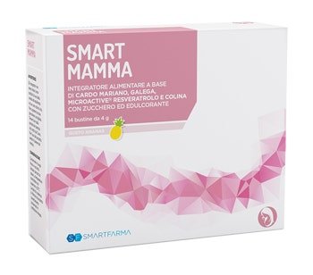 Smart Mamma Gusto Ananas 14 Bustine