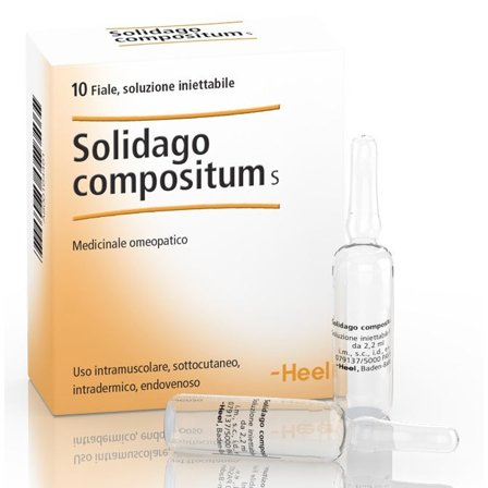 Guna Heel Solidago Compositum 10 Fiale Da 2,2ml