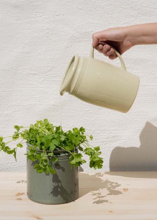 UND Legacy Mugge Pistachio 1.3L H19