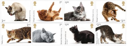 England 2022 - Katte - Postfrisk sæt 8v