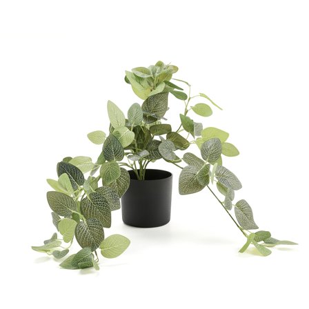 Artificial plant EVERGREEN, Hanging silver leaf, L 600 mm, 1-pack