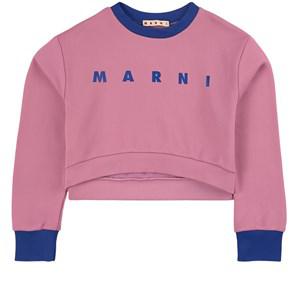 Kids - Marni Crocus Flower Branded Sweater - Jumpers and knitwear - 8 years - Pink