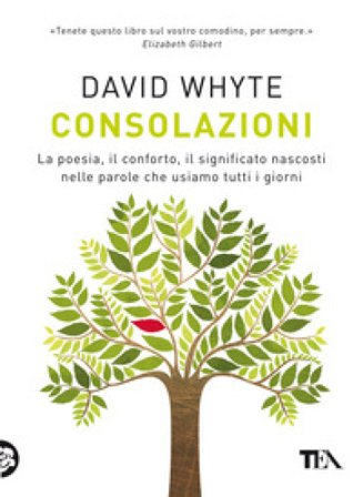 Consolazioni. La poesia, il conforto, il significato nascosti nelle parole che usiamo tutti i giorni David Whyte