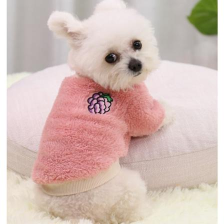 Husdjursvalp Hund Katt Fleecekläder Söt Varmare Jumper Sweater Coat