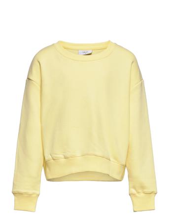 Our L Crew Sweat Sweat-shirt Tröja Gul Grunt