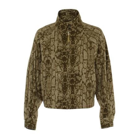 Alberta Ferretti, Jacket Bruin, Dames, Maat:S