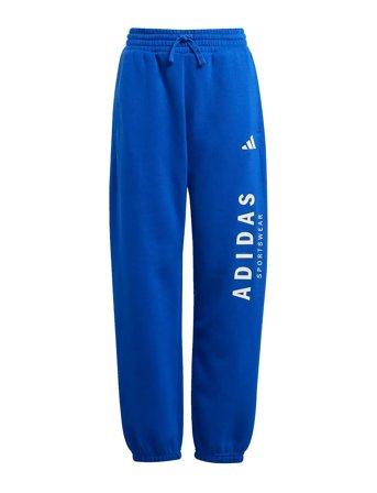 J Allszn Gfx Pt Blue Adidas Sportswear