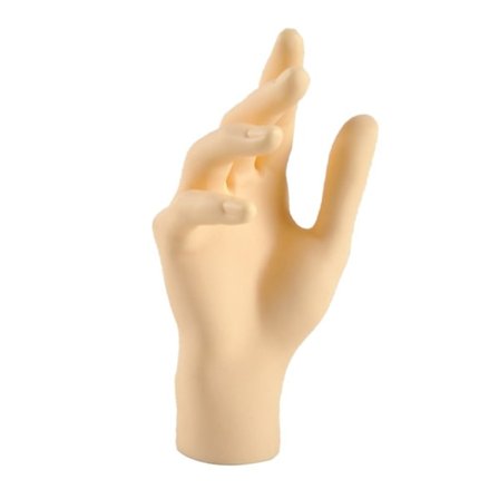 1 PC Handmodell Handskar Display SKIN-RIGHT SKIN-RIGHT
