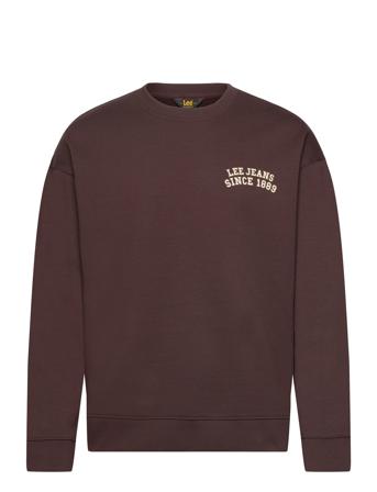 Graphic Sws Brown Lee Jeans