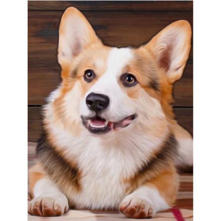 Full 5d Diy Diamond Painting Cross Stitch Söt Corgi Rhinestone B Som På Bilden 1 25x35cm