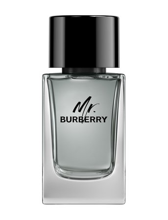 Burberry Fragrance Burberry Mr Burberry Eau De Toilette - Nude - 100 ml