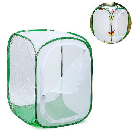 Høj Stor Butterfly Habitat Bur Collapsible Terrarium Pop-up Lnches, Insekt Og Butterfly Net Til Opdræt Indsæt