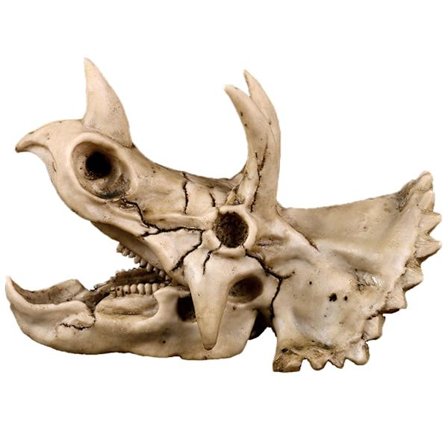 Triceratops Dinosaurie Skalle Resin Håndverk for Fossil Skjelett Undervisningsmodell Hallo