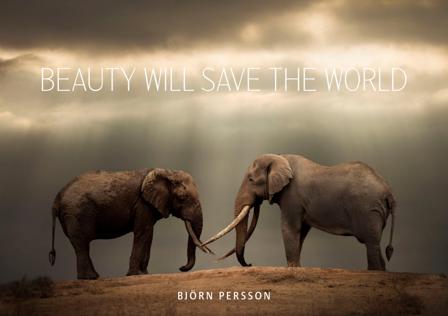 Beauty will save the world - Bok av Björn Persson - Inbunden