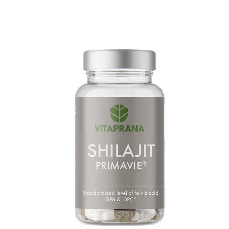 Vitaprana Shilajit 80 kapslar
