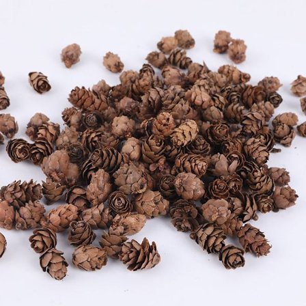 100 stk Naturlige Mini Furu Kongler - Thanksgiving Furu Kongle