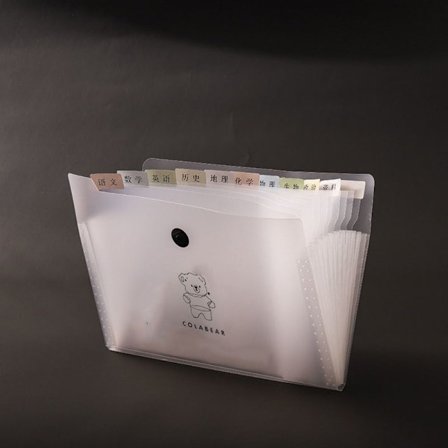 Transparent File Bag Transparent Folder 12 GRIDS-BEAR 12