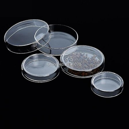 60mm 3 sett Borosilikat Petriskåler Dekk Glass Kjemi