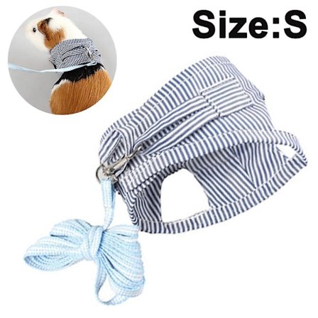 Lille kæledyr marsvin kanin sele og snor blå stribe bryst S