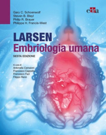 Larsen embriologia umana Gary C Schoenwolf
