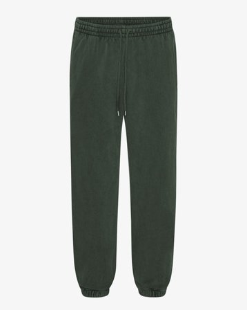 Organic Relaxed Sweatpants - Midnight Forest