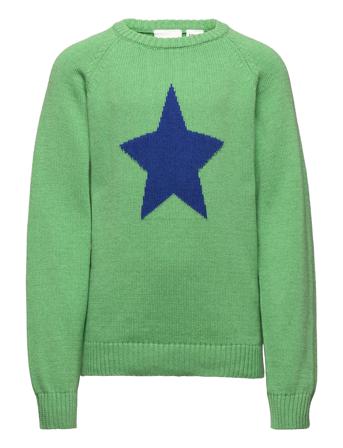 Calvin Knit Pullover Green Racoon