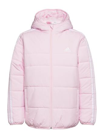 3-Stripes Padded Jacket Kids Pink Adidas Sportswear