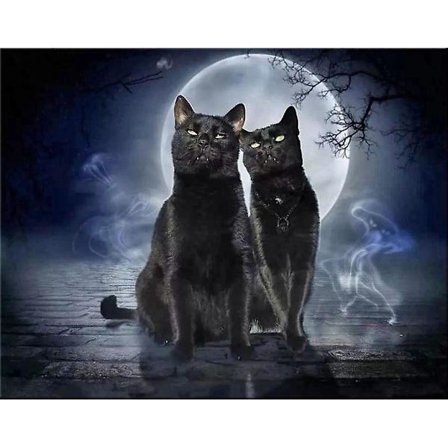 Dww-30x40cm Voksen Børn 5D DIY Diamant Maleri Kit - Månenat Uhyggelig Sort Kat, Fuld Diamant Broderi Håndværk, Krystal Lærred Rhinestone Malet