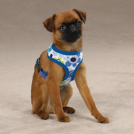 Mod Print - Hundsele Blå - Hurtta, Julius-k9, Fuzzyard, Flexi, Ruffwear, Petstudio, Casual Canine, Dog is Good mm. på Doggie.se