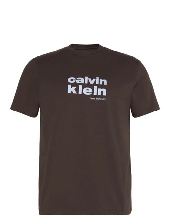 Calvin Klein Ss 30S Whsl Ckj Jersey Graphic T - Brown - L
