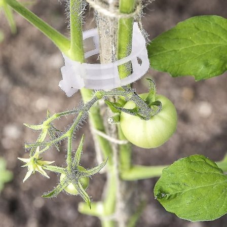 100 stk Planteclips Blomsterklips Ideelt for å feste planter til planter