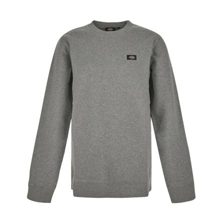 Dickies Sweatshirts grå, Herr, Herr, Storlek: S