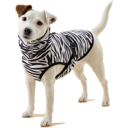 PAIKKA - Cool&Bug Vest 30cm - Hund - Hundepleie & kosttilskudd - Kjølematter - ZOO.no