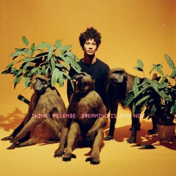 Dreaming is dead now SKINNY PELEMBE