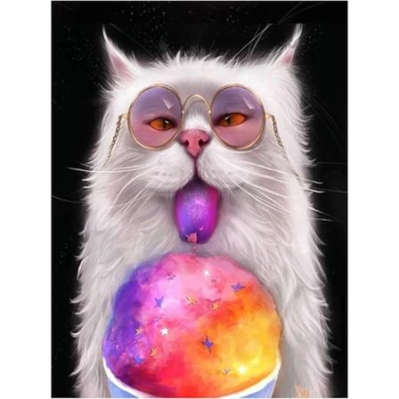 30*40 CM 5D timanttimaalaussarjat aikuisille, 5D kissa täysi Di