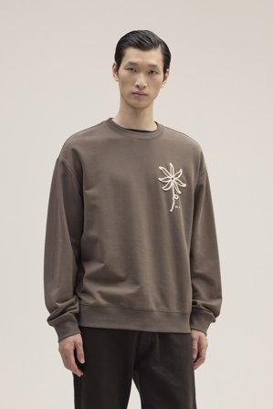 NN.07 David 30014 Male Brown