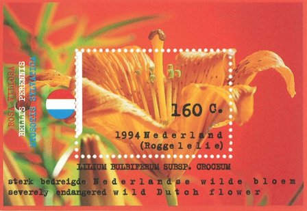 Holland - Lilje - Postfrisk miniark