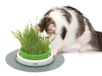 Catit Senses 2.0 Dyrkningsboks - 24cm