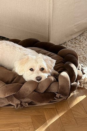 Jotex - Hunde-/katteseng Mørkebrun - BRADY - Køb Hunde-/katteseng hos Jotex