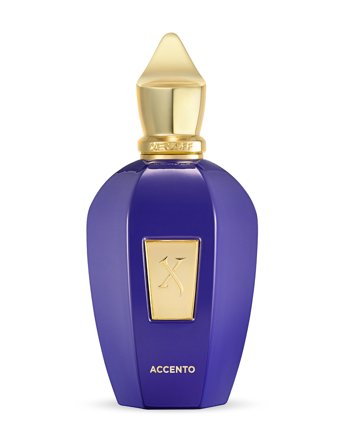 Xerjoff Accento Edp 100Ml - Nude - 100 ml