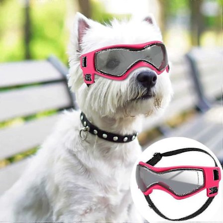 Hundebriller UV-beskyttelse Kompatibel med små til mellomstore hunder, vindtette antidugg motorsykkelbriller Kompatibel med kjæledyr